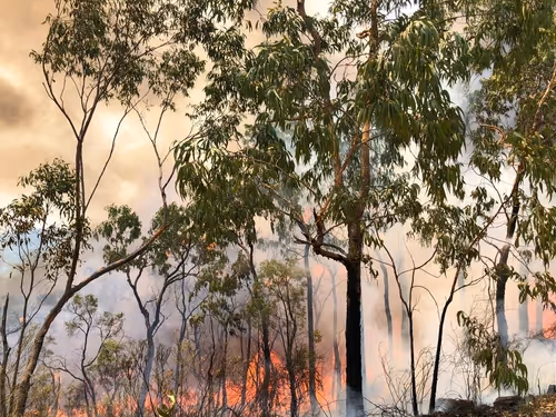 Seasonal Risks: How Bushfire & Flood Risks Influence Security Choices